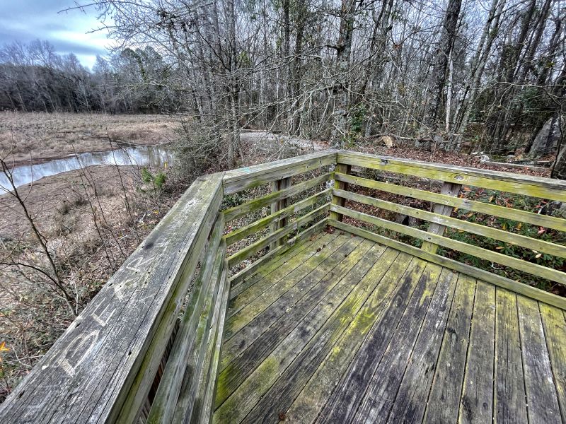 Condition of the Deck